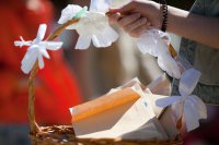 В День защиты детей по всему Петербургу пройдет акция «Белый цветок»